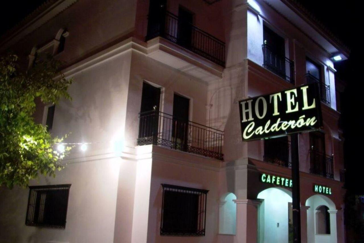 Hotel Calderon Cenes De La Vega Exterior photo